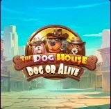 The Dog House - Dog Or Alive