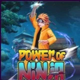 Power Of Ninja