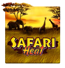 SAFARI HEAT