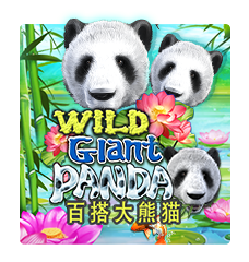 WILD GIANT PANDA