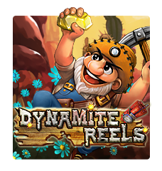 DYNAMITE REELS