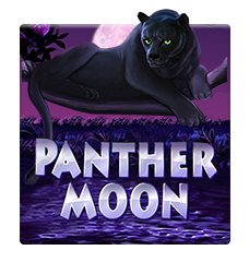 PANTHER MOON