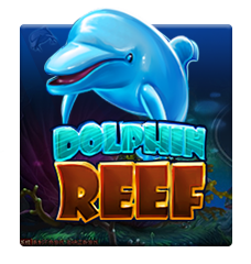 DOLPHIN REEF